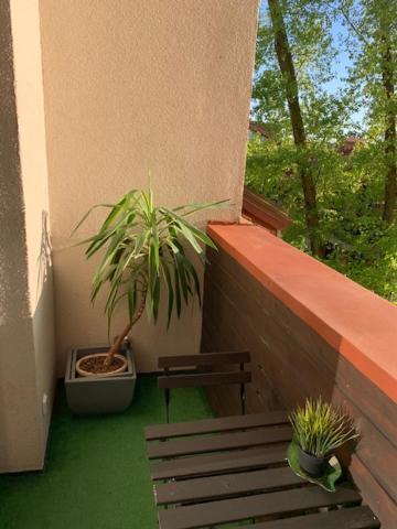"Mini Apartamentai", Maluno Vilos パランガ エクステリア 写真